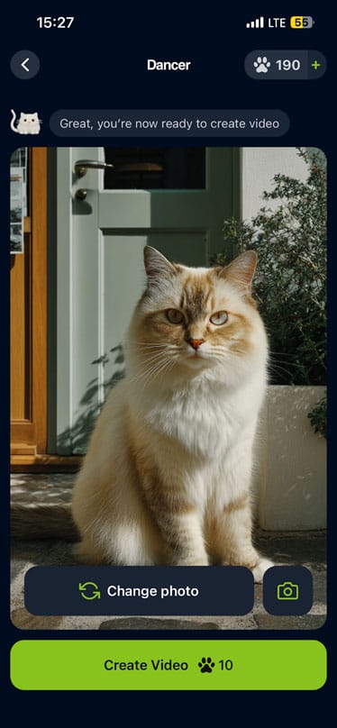 Syncat: Turning Cats into Internet Superstars 🐾