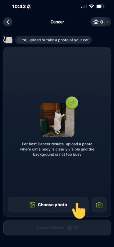 Syncat: Turning Cats into Internet Superstars 🐾