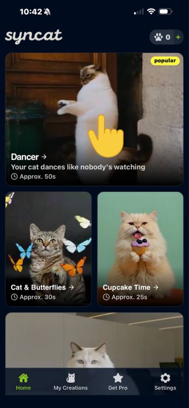 Syncat: Turning Cats into Internet Superstars 🐾